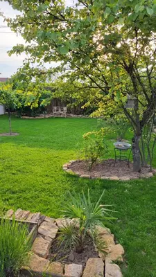 Jardin de l'établissement Gite La Cabiotte Nature et Spa