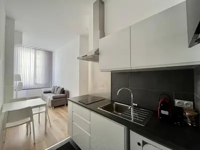 Cuisine ou kitchenette dans l'établissement Joli T2 en plein centre-ville de Lyon