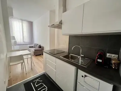 Cuisine ou kitchenette dans l'établissement Joli T2 en plein centre-ville de Lyon