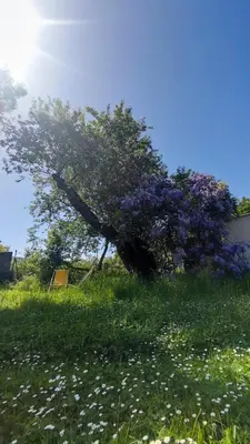 Paysage naturel près de la maison d'hôtes