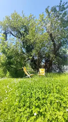 Jardin de l'établissement EVASION NATURE ET CONVIVIALITÉ