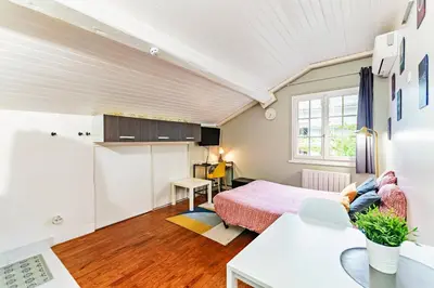 Cuisine ou kitchenette dans l'établissement Charmant studio cosy climatisé et parking securisé à proximité du centre ville de lyon