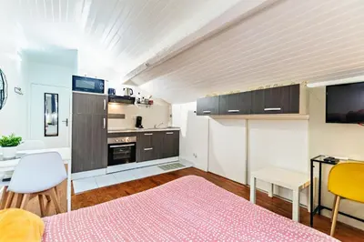 Cuisine ou kitchenette dans l'établissement Charmant studio cosy climatisé et parking securisé à proximité du centre ville de lyon