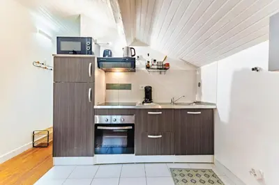 Cuisine ou kitchenette dans l'établissement Charmant studio cosy climatisé et parking securisé à proximité du centre ville de lyon