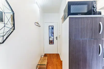 Cuisine ou kitchenette dans l'établissement Charmant studio cosy climatisé et parking securisé à proximité du centre ville de lyon