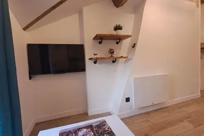 Télévision ou salle de divertissement dans l'établissement Petit-cocon proche centre-ville
