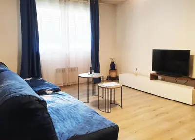 Télévision ou salle de divertissement dans l'établissement Paisible et Spacieux Appartement au calme proche métro limitrophe de Lyon