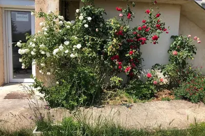 Jardin de l'établissement Le jardin suspendu