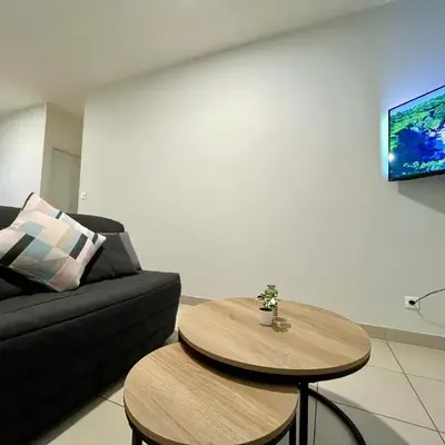 Bel appartement à 15 min de Lyon