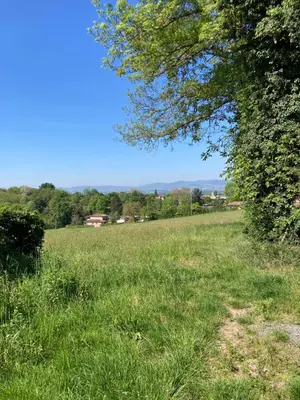 Paysage naturel près de l'appartement