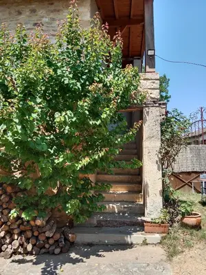 Jardin de l'établissement Chez mimi