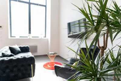 Télévision ou salle de divertissement dans l'établissement LOFT LA MINE D'OR - Parking gratuit et privé - Wifi - Tout équipé - Machine à laver