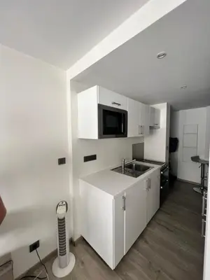Cuisine ou kitchenette dans l'établissement Superbe appartement plein centre de Lyon