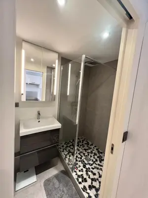 Salle de bains dans l'établissement Superbe appartement plein centre de Lyon