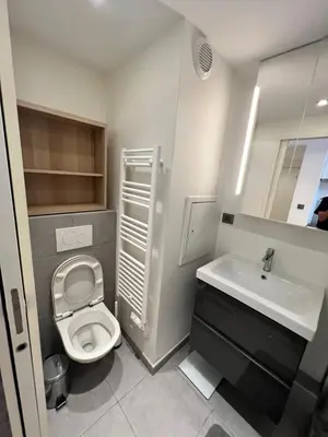 Salle de bains dans l'établissement Superbe appartement plein centre de Lyon