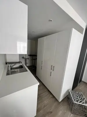 Cuisine ou kitchenette dans l'établissement Superbe appartement plein centre de Lyon