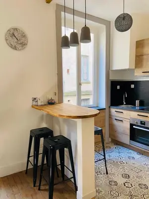 Cuisine ou kitchenette dans l'établissement The Little Pierre - apartment Terreaux Croix Rousse