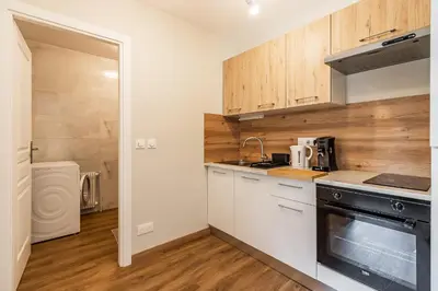 Cuisine ou kitchenette dans l'établissement T2 Tête d’Or Confort + Parking gratuit