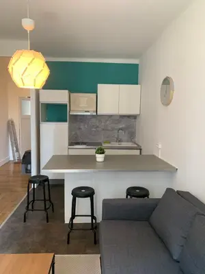 Cuisine ou kitchenette dans l'établissement Appartement T3 Lyon, part Dieu