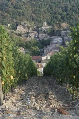 Paysage naturel près de l'appartement