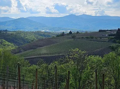 Paysage naturel près de l'appartement