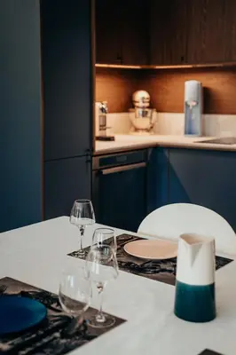 Cuisine ou kitchenette dans l'établissement Superbe appartement lyonnais, vue sur Saône