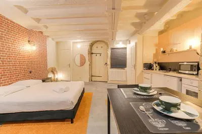 Cuisine ou kitchenette dans l'établissement Industrial-style studio with bathtub, Vieux-Lyon