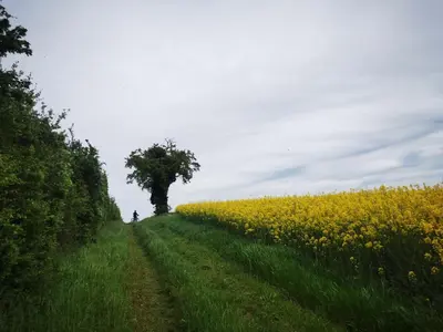 Paysage naturel près de la maison de vacances