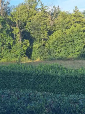 Paysage naturel près de le séjour chez l'habitant