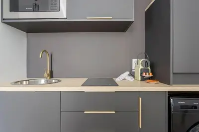 Cuisine ou kitchenette dans l'établissement Très beau studio - Lyon 3