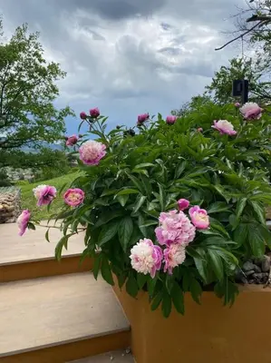 Jardin de l'établissement Domaine une HALTE