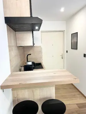 Cuisine ou kitchenette dans l'établissement Studio 100m gare Part-Dieu/terrasse/Parking privé