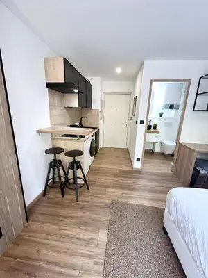 Cuisine ou kitchenette dans l'établissement Studio 100m gare Part-Dieu/terrasse/Parking privé