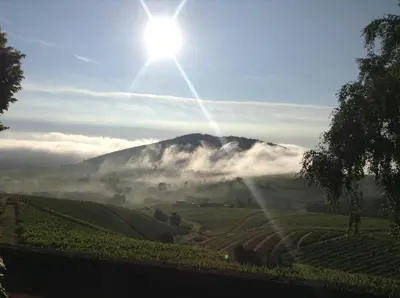 Paysage naturel près de le B&B/chambre d'hôtes