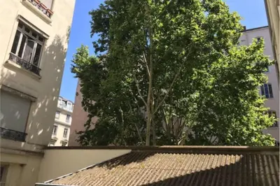 Plan de l'établissement Studio Duquesne - Parc Tête d'Or-Metro Fochoch
