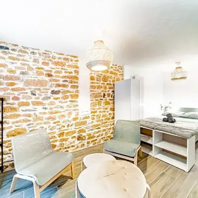 Le petit Colbert-Studio cosy-Croix Rousse