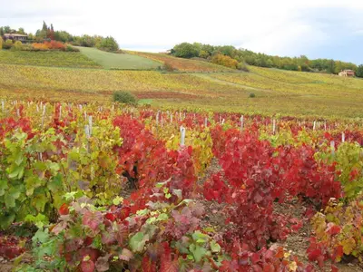 Jardin de l'établissement Domaine des Aloets