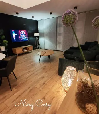 Télévision ou salle de divertissement dans l'établissement Superbe Cosy Duplex Appartement T3 Charpenne Tête D'or avec parking privé gratuit