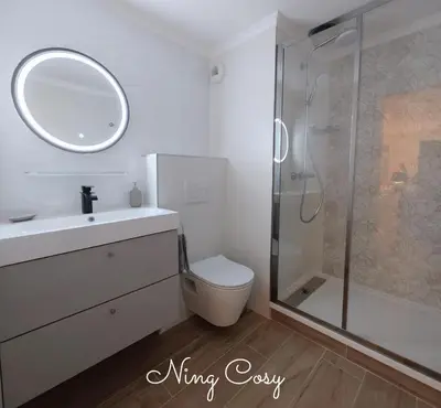 Salle de bains dans l'établissement Superbe Cosy Duplex Appartement T3 Charpenne Tête D'or avec parking privé gratuit