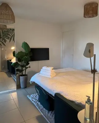 Un ou plusieurs lits dans un hébergement de l'établissement Superbe studio tendance et zen proche de Lyon