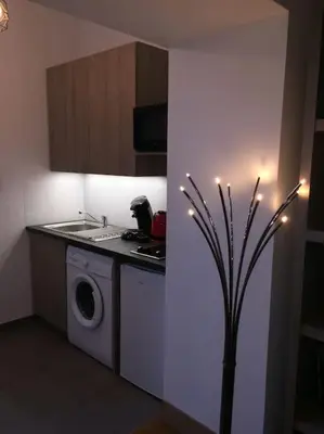 Cuisine ou kitchenette dans l'établissement Le Lumineux - Le chic en hypercentre - Bellecour