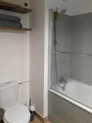 Salle de bains dans l'établissement Logement charmant Charpennes