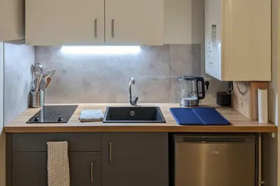 Cuisine ou kitchenette dans l'établissement Logement charmant Charpennes