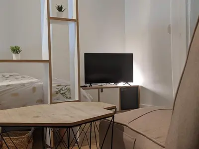 Télévision ou salle de divertissement dans l'établissement Logement charmant Charpennes