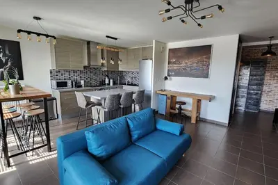 Cuisine ou kitchenette dans l'établissement Appartement Voie Lactée Lyon