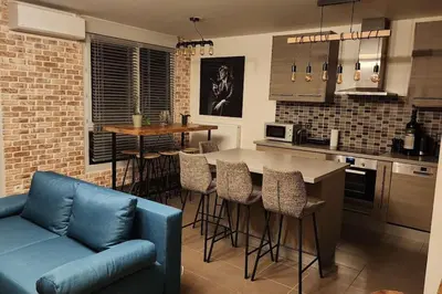 Cuisine ou kitchenette dans l'établissement Appartement Voie Lactée Lyon