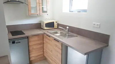 Cuisine ou kitchenette dans l'établissement Le Petit Castel, Portes de Lyon
