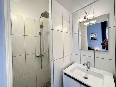 Salle de bains dans l'établissement Cosy appart Lyon 6/métro foch-bossuet 1