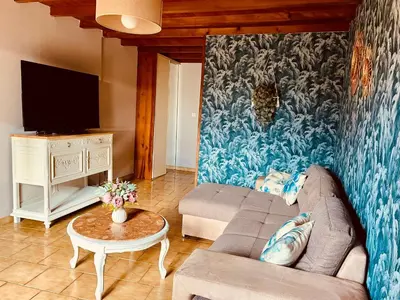 Télévision ou salle de divertissement dans l'établissement Gîte LES GOUTTES