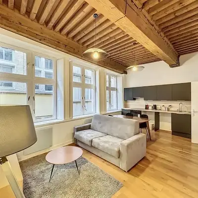 Cosy appt cœur de Lyon du Bœuf 3